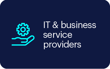 IT and business service providers
